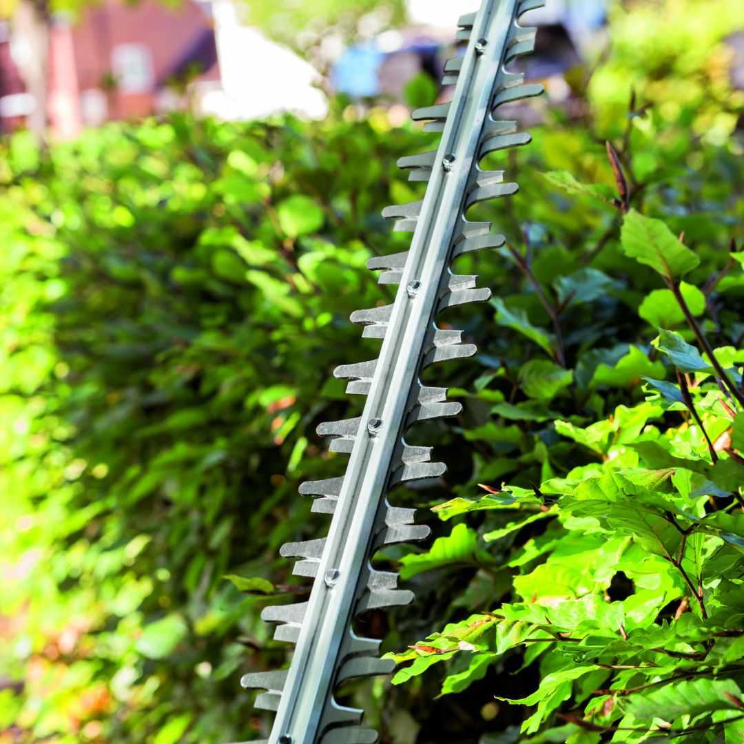 EGO HT2410E 61cm Double Sided Hedge Trimmer - Unit Only